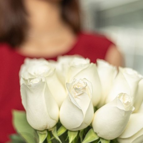 Букет из 201 белой голландской розы 50 см