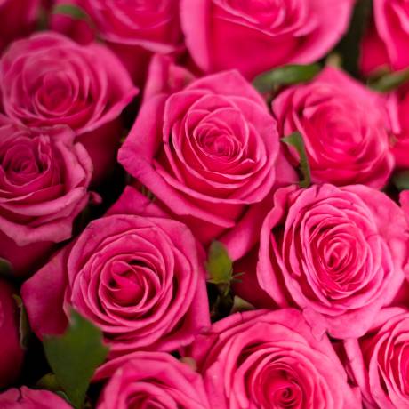 Букет из 101 розовой розы 80 см