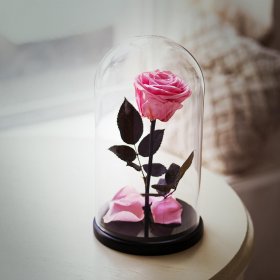 Розовая роза в колбе "Belle" Medium