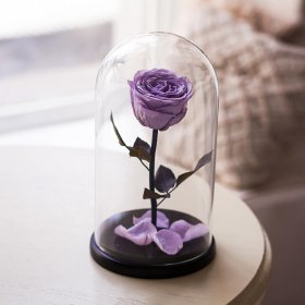 Фиолетовая роза в колбе "Belle" Big