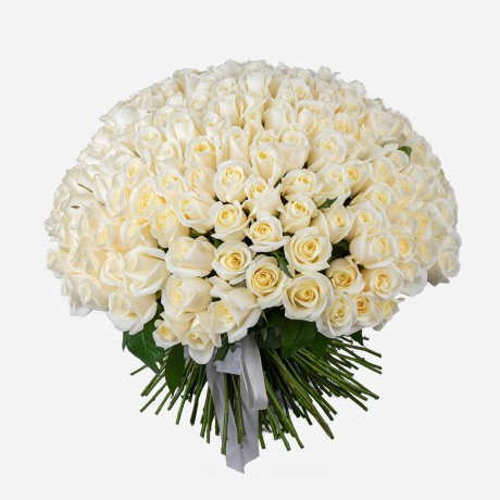 Букет из 201 белой розы Avalanche 50 см
