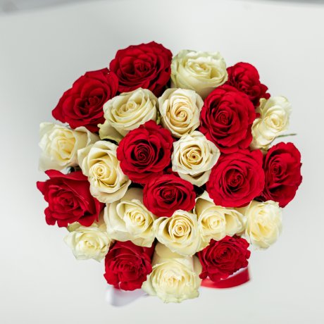 25 красно-белых роз в черной коробке