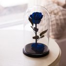 Синяя роза в колбе "Belle" Big