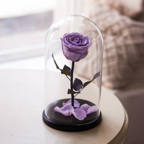 Фиолетовая роза в колбе "Belle" Small