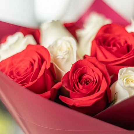 101 красно-белая голландская роза 60 см