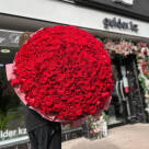 Букет из 303 красной голландской розы 100 см
